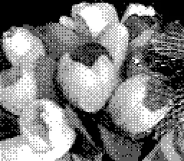 Game Boy Camera photo