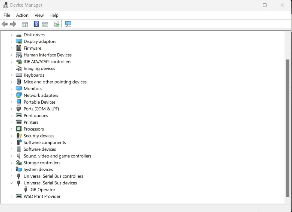 Device Manager on Windows showing USB devices